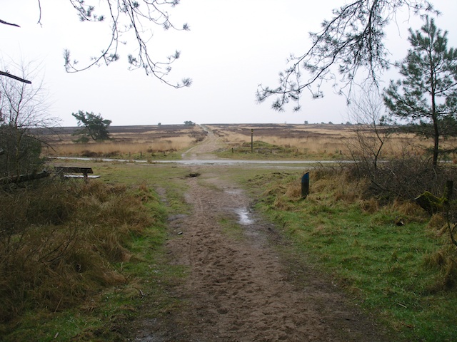 97. Rozendaalse Veld