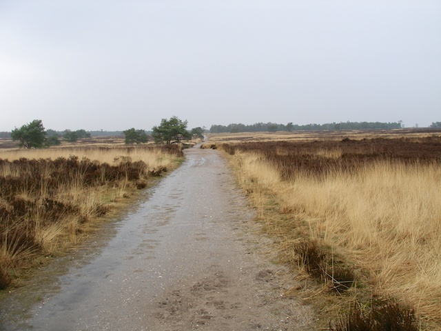 98. Rozendaalse Veld