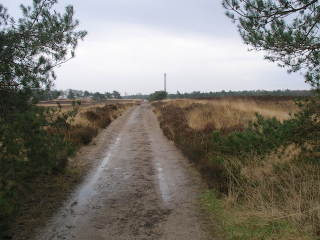 99. Brandtoren